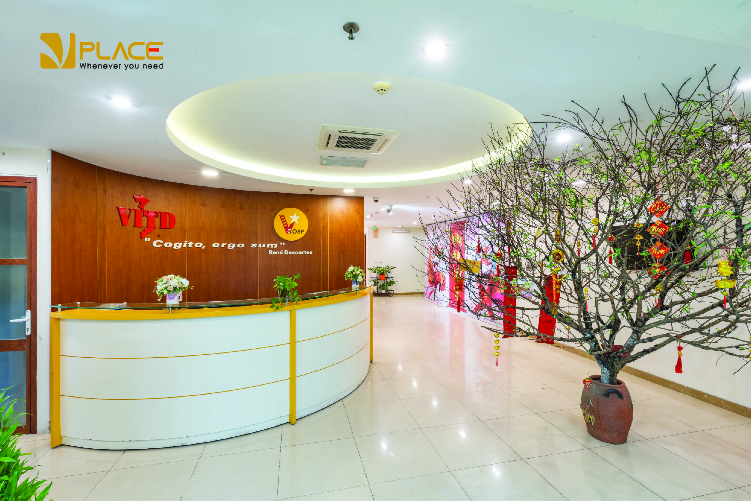 Ý Tường Tổ Chức Hội Thảo, Hội Nghị Độc Đáo
